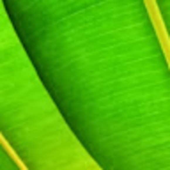 Profile Picture of Carlos Serrato (@carlosserrat430) on Poshmark