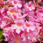 Profile Picture of Julia Becinte (@julia.becinte) on Facebook