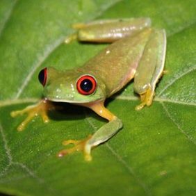 Profile Picture of Manuel Picazo (@ManuelPicazoV) on Twitter