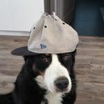 Profile Picture of Patrick Provencher (@patrickprovencher) on Instagram