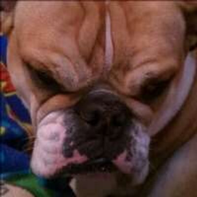 Profile Picture of Jeff Cochran (@jeffcochran80) on Twitter
