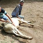 Profile Picture of Benigno Gonzalez (@nino1090_) on Instagram