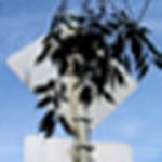 Profile Picture of Jeff.hohner (@jeff.hohner) on Flickr