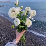 Profile Picture of Caitlin Swanson (@Caitlin-Swanson) on Facebook