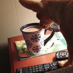 Profile Picture of Tammy Padgett (@spazen3434) on Twitter