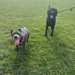 Profile Picture of Jacqueline McGowan (@Jacqueline-McGowan) on Facebook