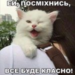 Profile Picture of Andrew Murin (@andrew.murin.52) on Instagram