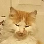 Profile Picture of Earl Phillips (@earlphillips2988) on Instagram