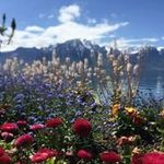 Profile Picture of Daniel Meunier (@pompeo.meunier) on Instagram