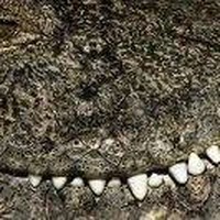 Profile Picture of Alexander Koutsoukalis (@alexander-koutsoukalis) on Quora