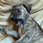 Profile Picture of Colton Floyd (@Colton-Floyd) on Facebook