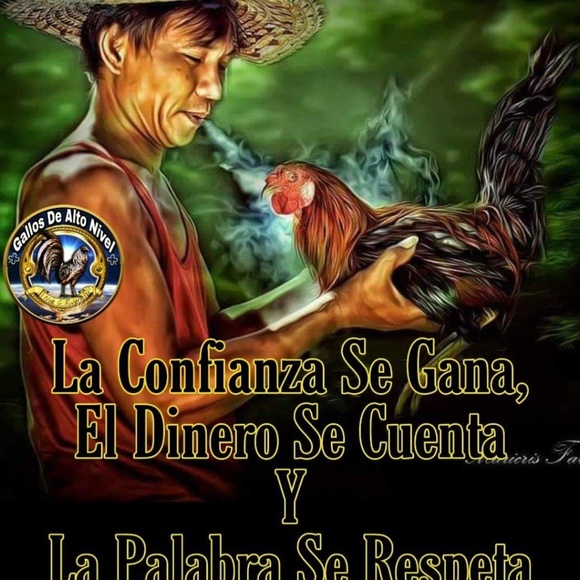 Profile Picture of Roberto El perron (@robe1695) on Poshmark