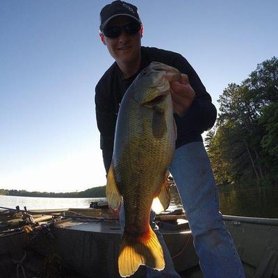 Benjamin Wales, DPT - Twitter Profile Picture of Benjamin Wales, DPT (@EggsBenAddict) on Twitter