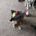 Profile Picture of Heather Alberts (@heather.alberts.5) on Facebook