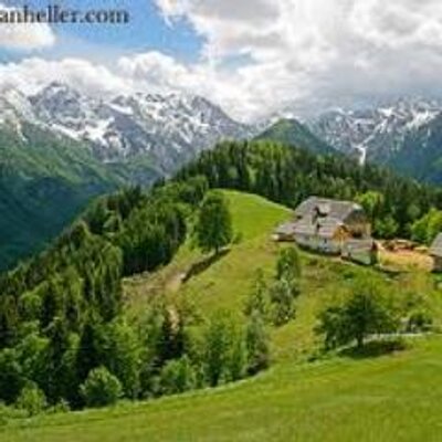 Profile Picture of Louise Deuchars (@roombaroo) on Twitter