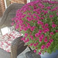 Profile Picture of Andrea Cain Agge (@andrea-cain-agge) on Quora