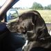 Profile Picture of Chuck Jennings (@chuck.jennings.12) on Facebook