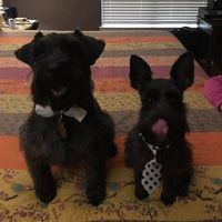 Profile Picture of Chris Everhart (@chris-everhart-13) on Quora