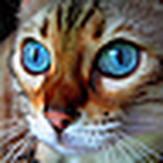 Profile Picture of Janet Lefton (@janet lefton) on Flickr