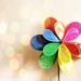 Profile Picture of Fatima Mohammed (@looli82) on Pinterest