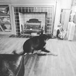 Profile Picture of mark odhner (@slider_mo) on Instagram