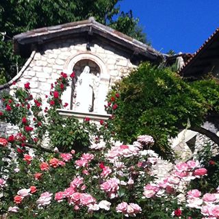 Profile Picture of Alice Marrone (@Alice-Marrone) on Facebook