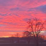 Profile Picture of Becky Spatz (@bekybec03) on Instagram