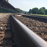 Profile Picture of Bill Lambert (@bubilllambert) on Instagram