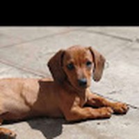 Profile Picture of Mauricio Zavala (@mauricio-zavala-25) on Quora