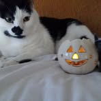 Profile Picture of Celine Osmolinski (@celine.osmolinski.5) on Facebook