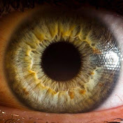 Profile Picture of Bryan Rubio (@bryanrubio3980) on Youtube