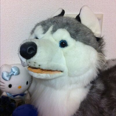 Profile Picture of Masakimura (@dan2_kimura) on Twitter