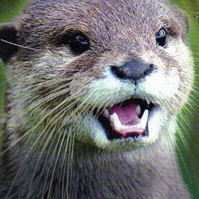 Profile Picture of Joseph Melby (@JosephMelby) on Twitter