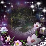 Virginia Kirkpatrick - Instagram Profile Picture of Virginia Kirkpatrick (@kirkpatrickvirginia) on Instagram