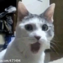 Profile Picture of Changlin Liu (@ChanglinLiu1) on Twitter