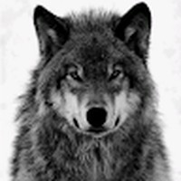 Profile Picture of Darius Long (@darius-long-15) on Quora