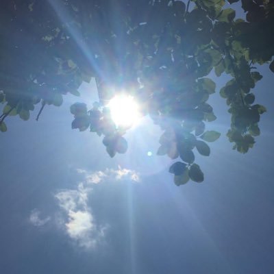 Profile Picture of D Malone (@_Dee_Malone_) on Twitter