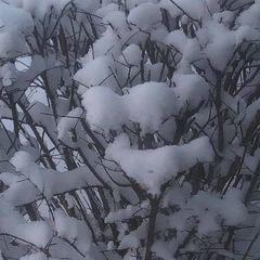 Profile Picture of kimrolfes65 (@kimrolfes65) on Tiktok