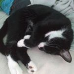 Profile Picture of Nathan Wetzel (@nate_dog_263) on Instagram