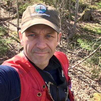 Profile Picture of Nelson Thiffault (@nthiffault) on Twitter