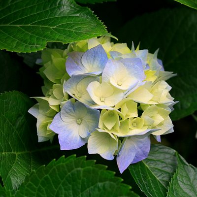 Profile Picture of Chrisceli (@chrisceli2) on Twitter