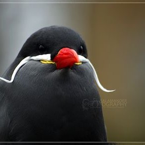 Profile Picture of Robert G. McCroskey (@g_mccroskey) on Twitter