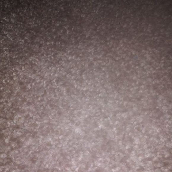 Profile Picture of Danielle Berkhimer (@d_berkhimer) on Poshmark