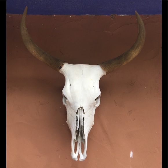 Profile Picture of Harlan Joseph (@harls421) on Poshmark