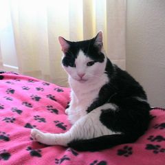 Profile Picture of michaeljohnlaming (@michaeljohnlaming) on Tiktok