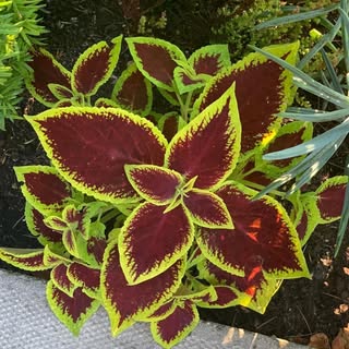 Profile Picture of Yasmin Sharaf (@yasmin_sharaf) on Instagram