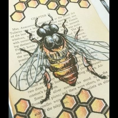 Profile Picture of Daniel Catchpole (@DCPS2020) on Twitter