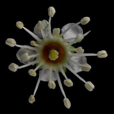 Profile Picture of Geoff Baylis (@GeoffBaylis) on Twitter