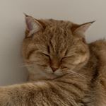 Profile Picture of yoandri (@yoandrisphotos) on Instagram