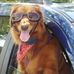 Profile Picture of Alan Altschul (@alan.altschul.7) on Facebook